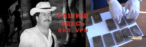 сатива Кодинск