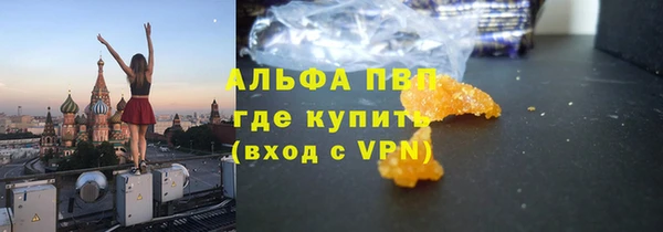 сатива Кодинск