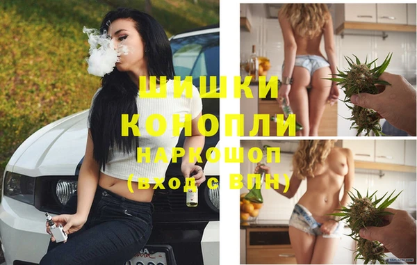 ПСИЛОЦИБИНОВЫЕ ГРИБЫ Козельск