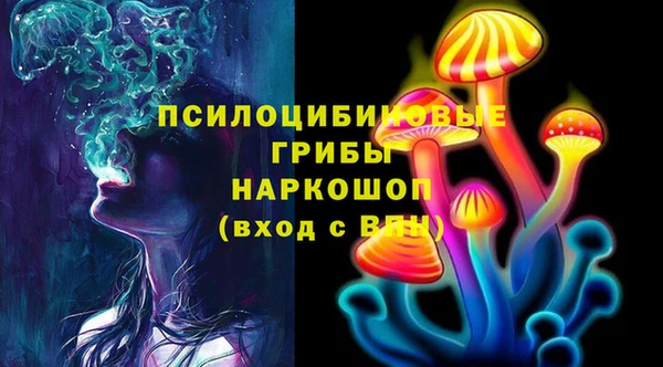 тгк Козловка