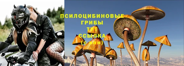 таблы Костерёво