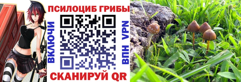 где купить наркоту  omg как войти  Галлюциногенные грибы MAGIC MUSHROOMS  Кинешма 